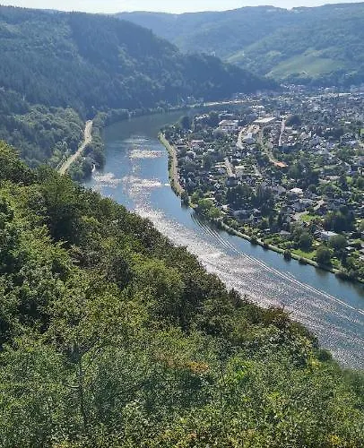 Gisela * 恩克里克